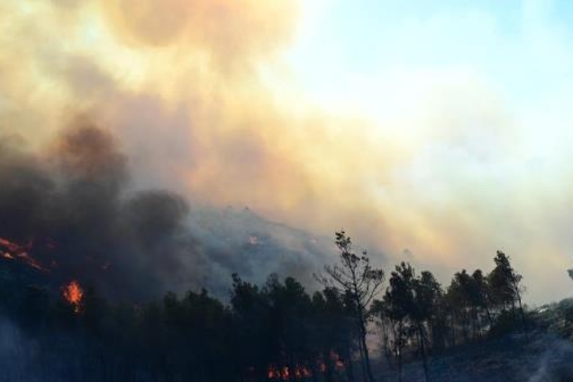 Μάχη με τα πύρινα μέτωπα σε Κω, Χίο και Κρήτη - Πάνω από 50 φωτιές το τελευταίο 24ωρο
